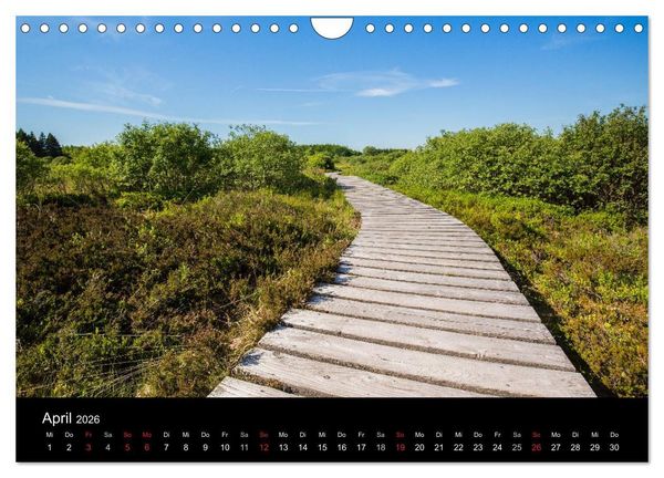 Produktbild: HOHES VENN - Einblicke in ein Hochmoor (Wandkalender 2026 DIN A4 quer), CALVENDO Monatskalender