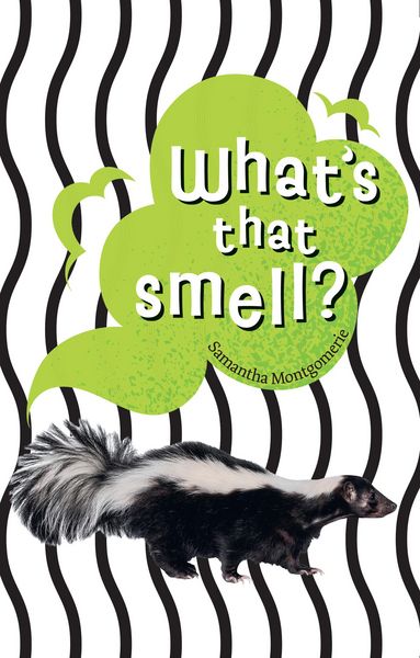 Produktbild: Big Cat Lw Flu_whats Smell