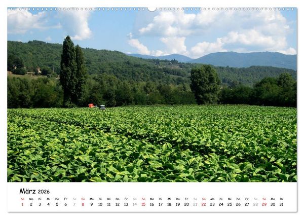 Produktbild: Camino di Assisi - Franziskusweg (Wandkalender 2026 DIN A2 quer), CALVENDO Monatskalender