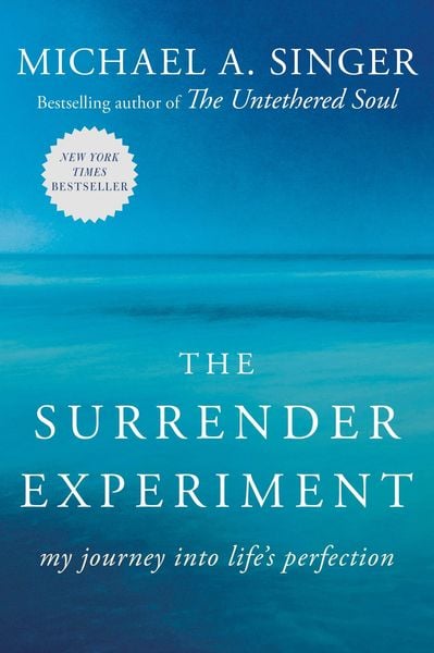Produktbild: The Surrender Experiment