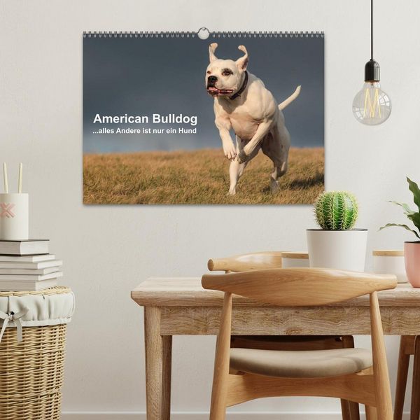 Produktbild: American Bulldog - alles Andere ist nur ein Hund (Wandkalender 2026 DIN A3 quer), CALVENDO Monatskalender