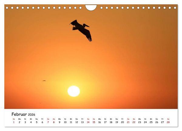 Produktbild: Eine Reise ins magische Donaudelta (Wandkalender 2026 DIN A4 quer), CALVENDO Monatskalender