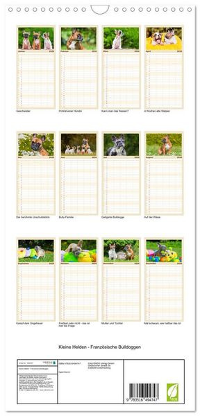 Produktbild: Familienplaner 2026 - Kleine Helden - Franz&ouml;sische Bulldoggen mit 5 Spalten (Wandkalender, 21 x 45 cm) CALVENDO