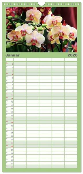Produktbild: Familienplaner 2026 - Pr&auml;chtige Orchideen mit 5 Spalten (Wandkalender, 21 x 45 cm) CALVENDO