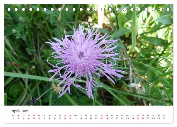 Produktbild: &Uuml;ber die Alpen - Auf dem E5 von Oberstdorf nach Meran (Tischkalender 2026 DIN A5 quer), CALVENDO Monatskalender