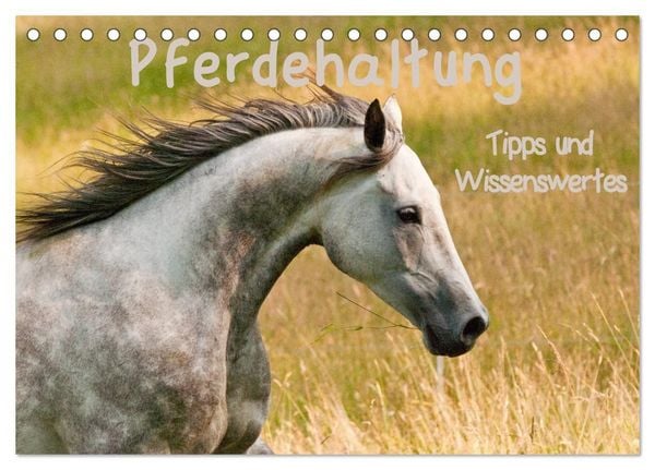 Produktbild: Pferdehaltung Tipps und Wissenswertes (Tischkalender 2027 DIN A5 quer), CALVENDO Monatskalender