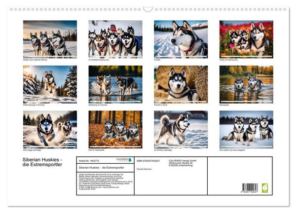 Produktbild: Siberian Huskies - die Extremsportler (Wandkalender 2026 DIN A2 quer), CALVENDO Monatskalender