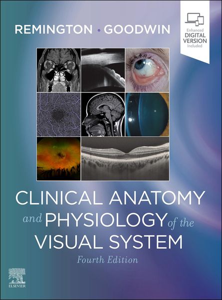 Produktbild: Clinical Anatomy and Physiology of the Visual System E-Book