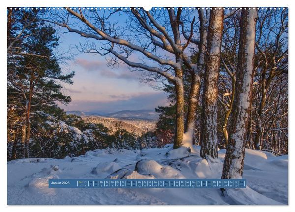 Produktbild: Magischer Pf&auml;lzer Wald (Wandkalender 2026 DIN A2 quer), CALVENDO Monatskalender