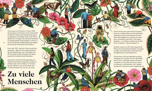 Produktbild: Das Wunder des Lebens