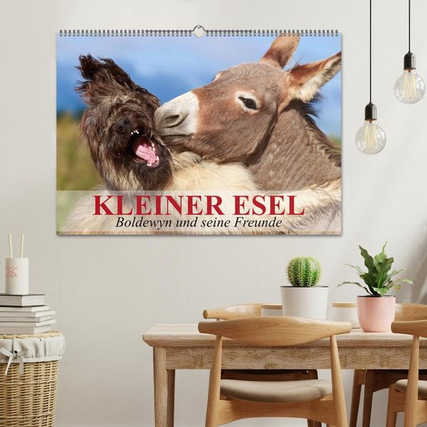 Produktbild: Kleiner Esel. Boldewyn und seine Freunde (Wandkalender 2026 DIN A2 quer), CALVENDO Monatskalender
