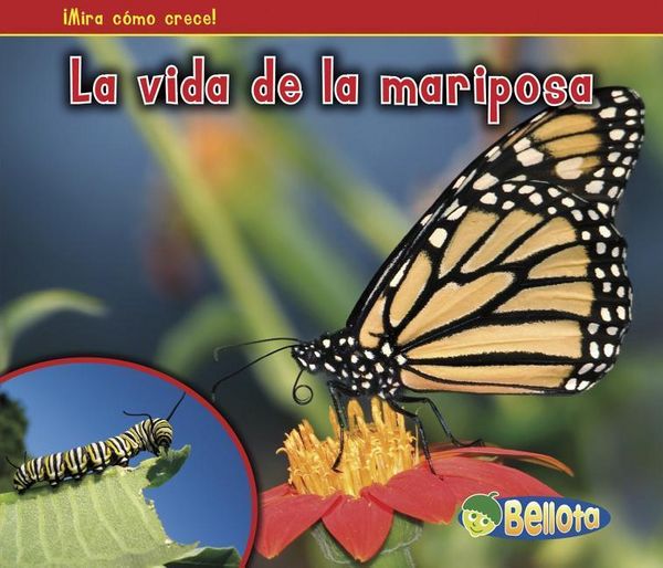 Produktbild: La Vida de la Mariposa (the Life of a Butterfly)