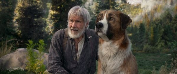 Produktbild: Ruf der Wildnis