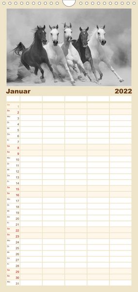 Produktbild: Familienplaner Arabische Pferde (Wandkalender 2022 , 21 cm x 45 cm, hoch)