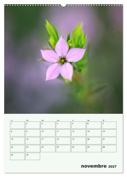 Produktbild: Fleurs en toute simplicit&eacute; - Beaut&eacute; minimaliste (Calendrier mural 2027 DIN A2 horizontal), CALVENDO calendrier mensuel