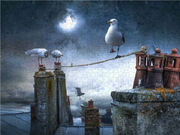 Produktbild: CALVENDO Puzzle Seilt&auml;nzer | 1000 Teile Lege-Gr&ouml;&szlig;e 64x48cm Foto-Puzzle f&uuml;r gl&uuml;ckliche Stunden