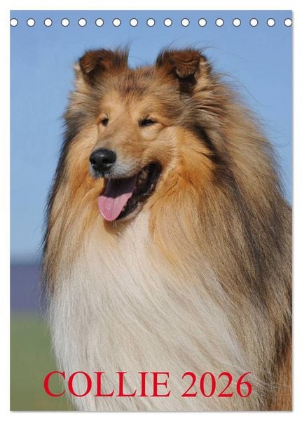 Produktbild: Collie 2026 (Tischkalender 2026 DIN A5 hoch), CALVENDO Monatskalender