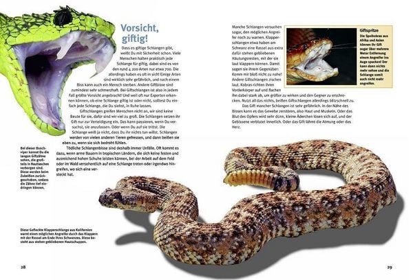 Produktbild: Entdecke die Reptilien