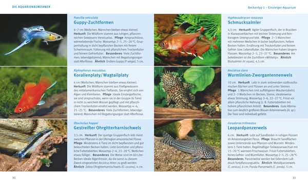 Produktbild: Kleine Aquarien