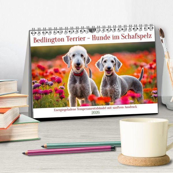 Produktbild: Bedlington Terrier - Hunde im Schafspelz (Tischkalender 2026 DIN A5 quer), CALVENDO Monatskalender