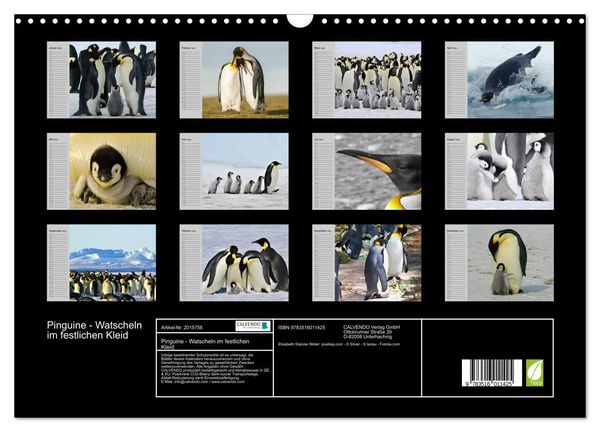 Produktbild: Pinguine - Watscheln im festlichen Kleid (Wandkalender 2026 DIN A3 quer), CALVENDO Monatskalender