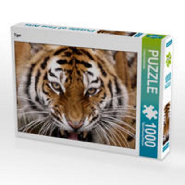 CALVENDO Puzzle Tiger | 1000 Teile Lege-Größe 64x48cm Foto-Puzzle für glückliche Stunden