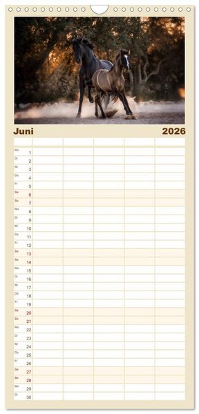 Produktbild: Familienplaner 2026 - Spiegel deiner Seele mit 5 Spalten (Wandkalender, 21 x 45 cm) CALVENDO