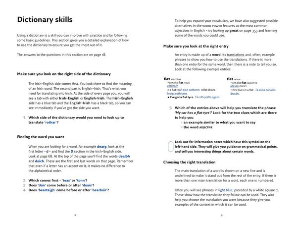 Produktbild: Easy Learning Irish Dictionary
