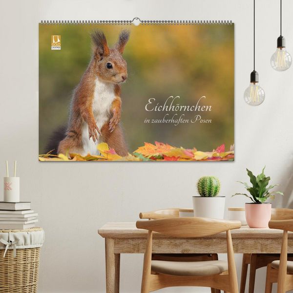 Produktbild: Eichh&ouml;rnchen in zauberhaften Posen (Wandkalender 2026 DIN A2 quer), CALVENDO Monatskalender
