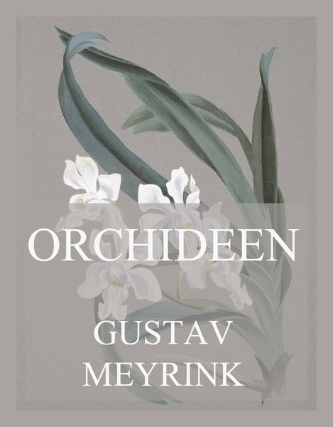 Produktbild: Orchideen