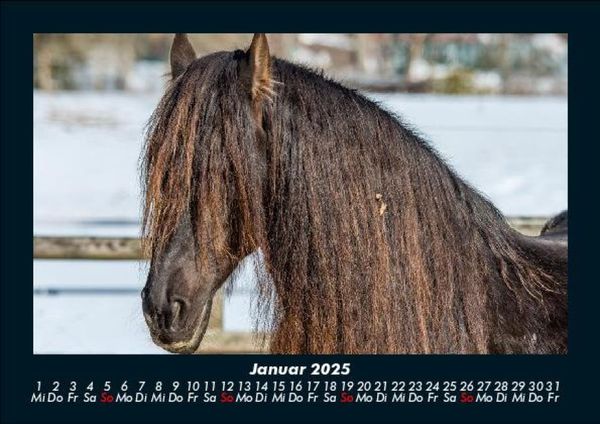 Produktbild: Die Welt der Pferde 2025 Fotokalender DIN A5