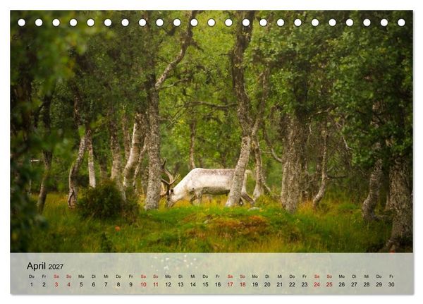 Produktbild: Magische Tiermomente (Tischkalender 2027 DIN A5 quer), CALVENDO Monatskalender