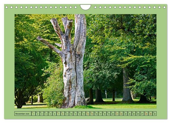 Produktbild: Faszination Stadtpark Odense (Wandkalender 2026 DIN A4 quer), CALVENDO Monatskalender