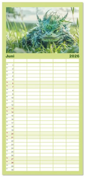 Produktbild: Familienplaner 2026 - Drachen - Verspielt und fluffig mit 5 Spalten (Wandkalender, 21 x 45 cm) CALVENDO
