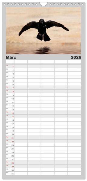 Produktbild: Familienplaner 2026 - Rabenschwarze Impressionen - meike-ajo-dettlaff.de via wildvogelhlfe.org mit 5 Spalten (Wandkalender, 21 x 45 cm) CALVENDO