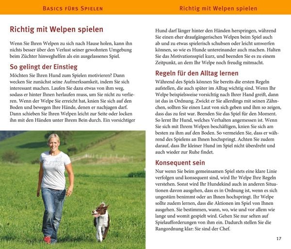 Produktbild: Welpen-Spiele-Box