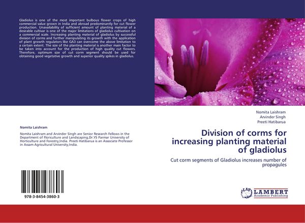 Produktbild: Division of corms for increasing planting material of gladiolus