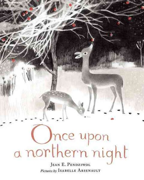 Produktbild: Once Upon a Northern Night