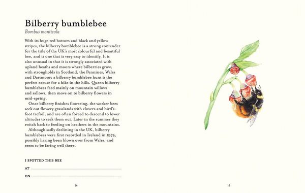 Produktbild: The Bee Spotter's Guide