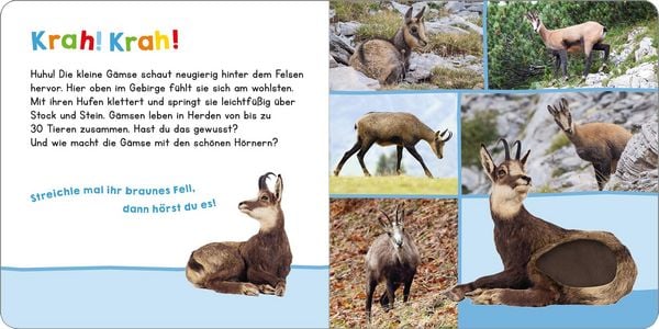 Produktbild: H&ouml;r mal rein, wer kann das sein? In den Bergen