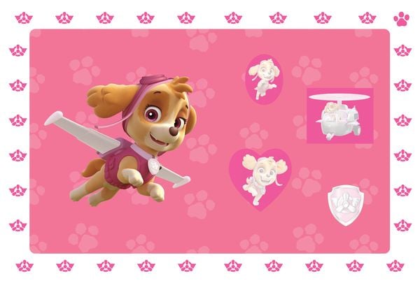 Produktbild: PAW Patrol Meine ersten Sticker