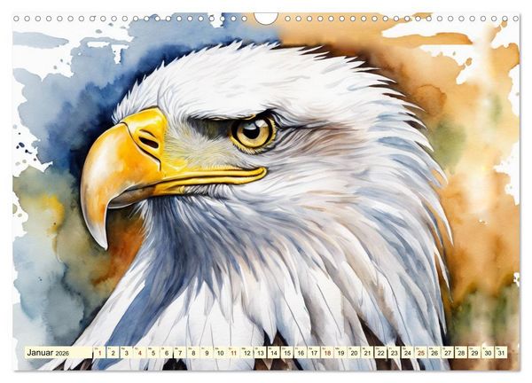 Produktbild: Wei&szlig;kopfseeadler - Majest&auml;tische V&ouml;gel (Wandkalender 2026 DIN A3 quer), CALVENDO Monatskalender