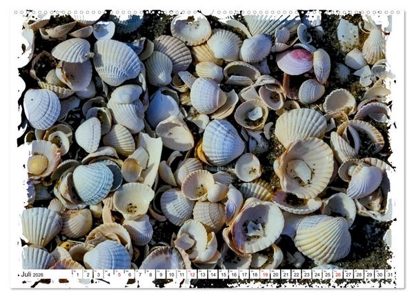 Produktbild: Zingst Sehnsucht nach Meer (Wandkalender 2026 DIN A2 quer), CALVENDO Monatskalender