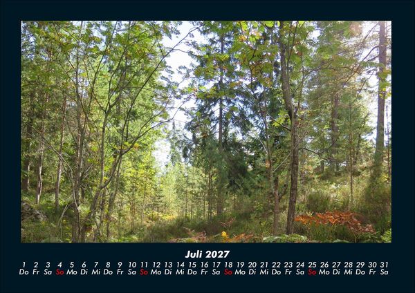 Produktbild: B&auml;ume 2027 Fotokalender DIN A4