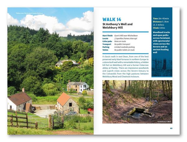 Produktbild: 15 Short Walks in the Forest of Dean