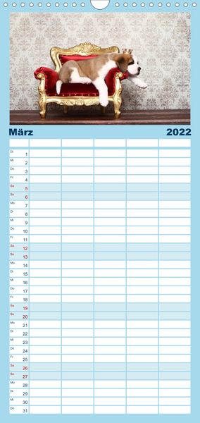Produktbild: Familienplaner S&uuml;&szlig;e Tr&auml;ume 2022 - schlafende Hundewelpen (Wandkalender 2022 , 21 cm x 45 cm, hoch)