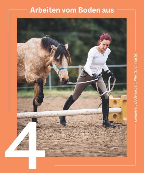 Produktbild: Die Reittrainings-Box