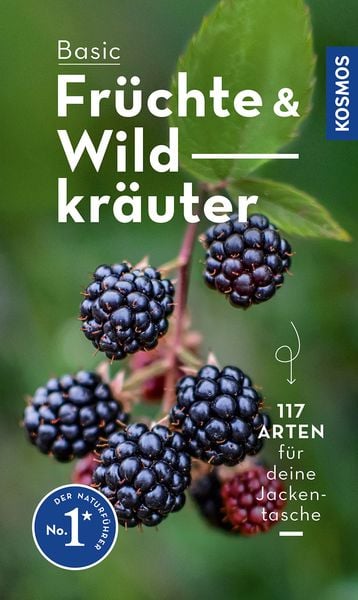 BASIC Früchte und Wildkräuter, Taschenbuch von Eva-Maria Dreyer, Kosmos, 978-3-440-17392-3
