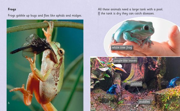 Produktbild: Extraordinary Pets