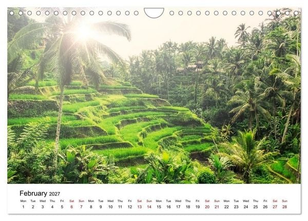 Produktbild: Tropical Vibes (Wall Calendar 2027 DIN A4 landscape), CALVENDO 12 Month Wall Calendar